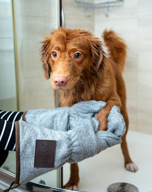 Discover the Magic Behind Our Best Smelling Dog Shampoo: Ingredient Breakdown and Benefits